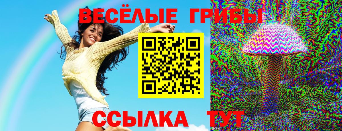 Псилоцибиновые грибы Cubensis  Галлюциногенные грибы Psilocybe  Вход с VPN  Сочи 