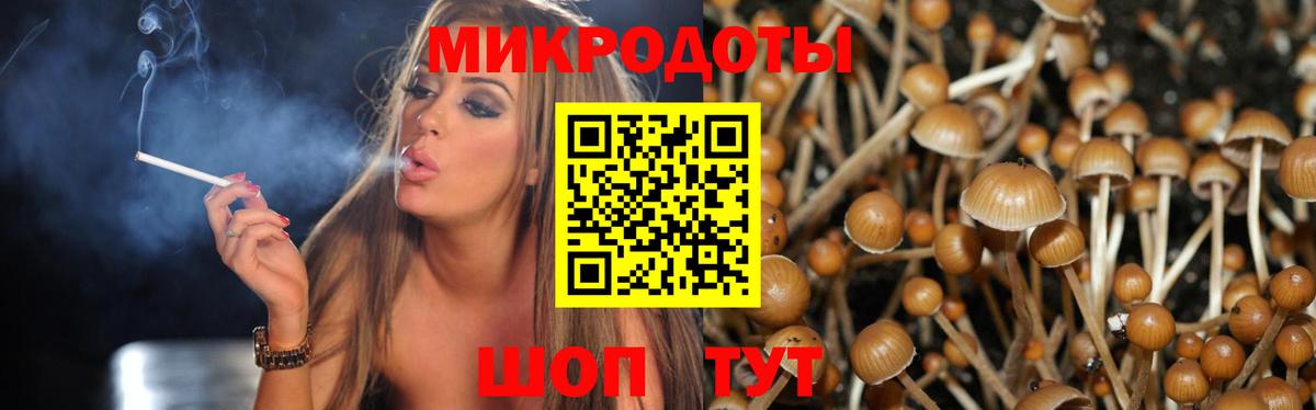 Псилоцибиновые грибы мицелий Сочи